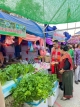 งานพริก หอมแดง กระเทียม และของดีกันทรารมย์ ประจำปี 2568